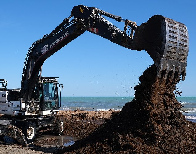 Excavator performing earthmoving